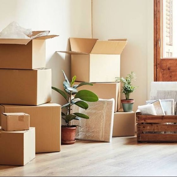 Meet your Posher, Holly - Picture 1 of 1